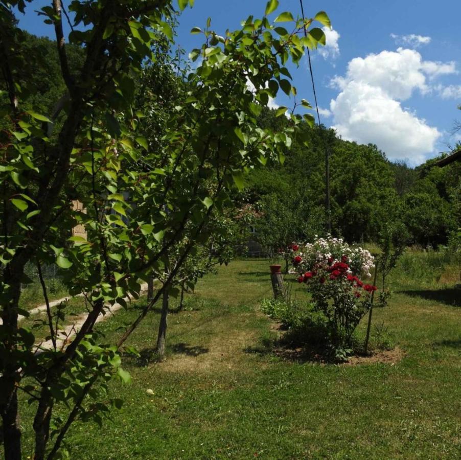 Omar & Una Apartmani Bihać エクステリア 写真